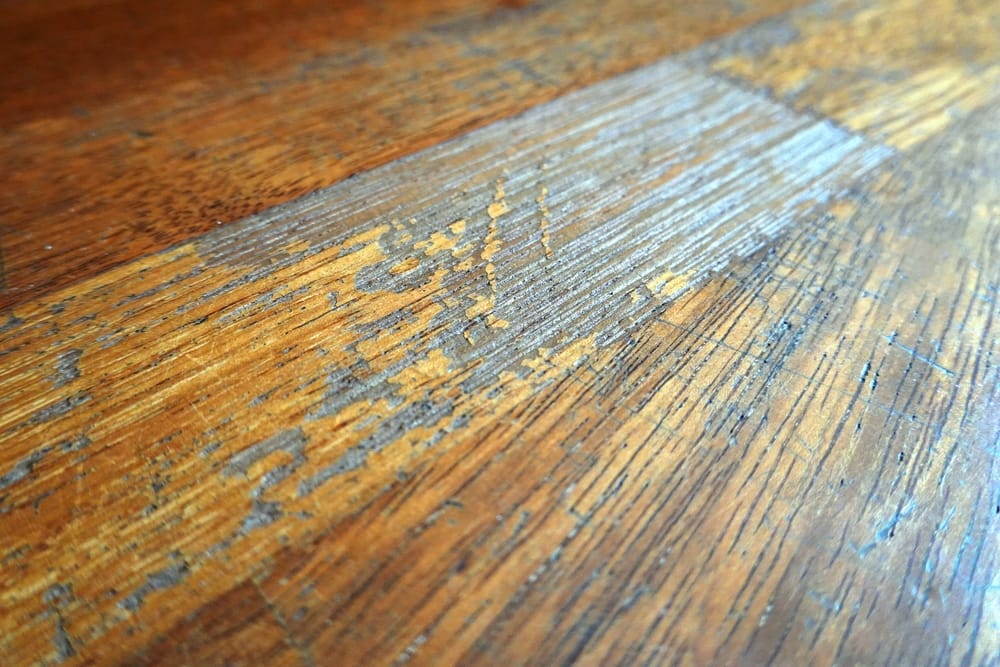 Have You Ever Wondered How to Fix Squeaky Hardwood Floors.